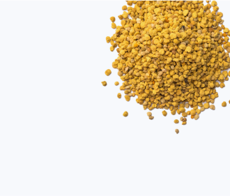 fenugreek